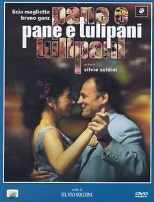 PANE E TULIPANI - DVD