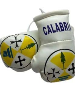 CALABRIA MINI BOXING GLOVES